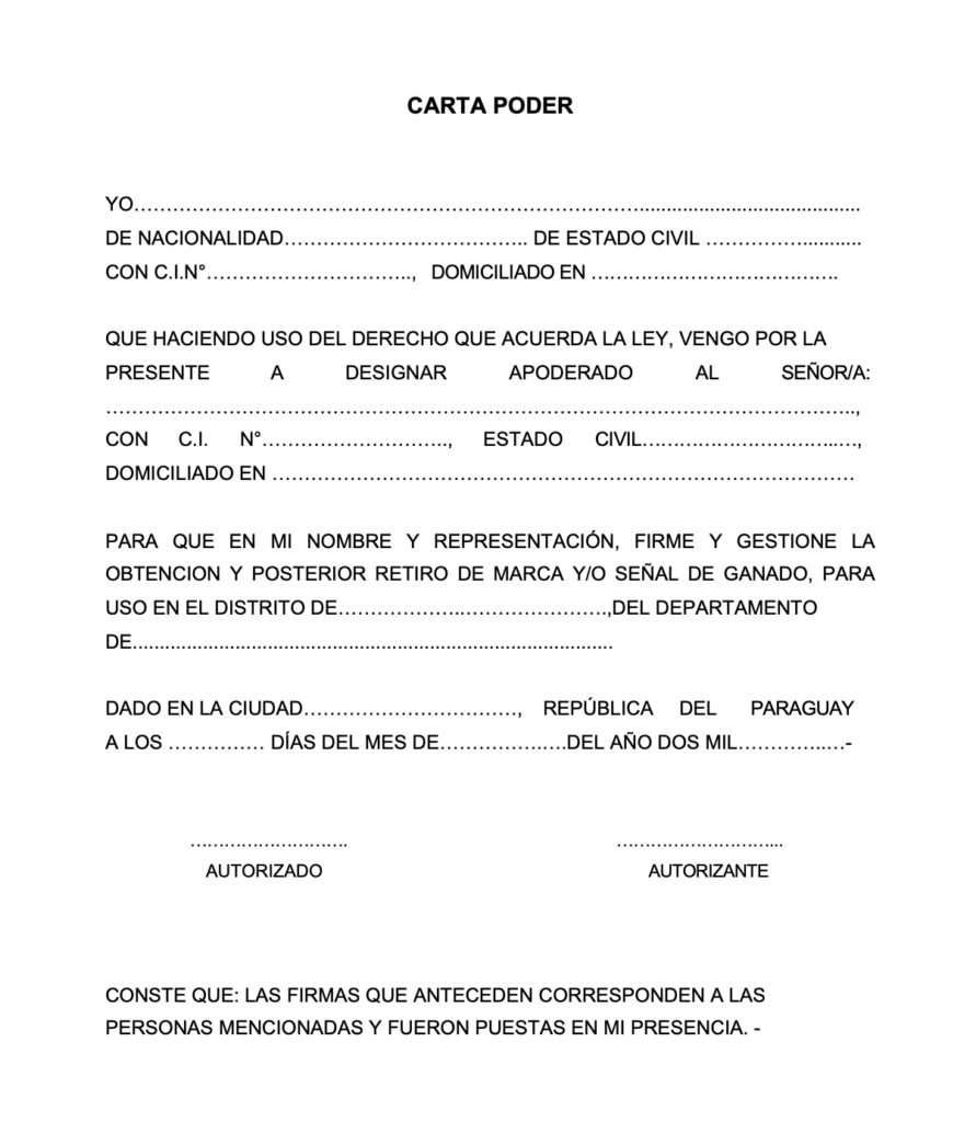 Consideraciones Importantes al Tramitar una Carta de Poder